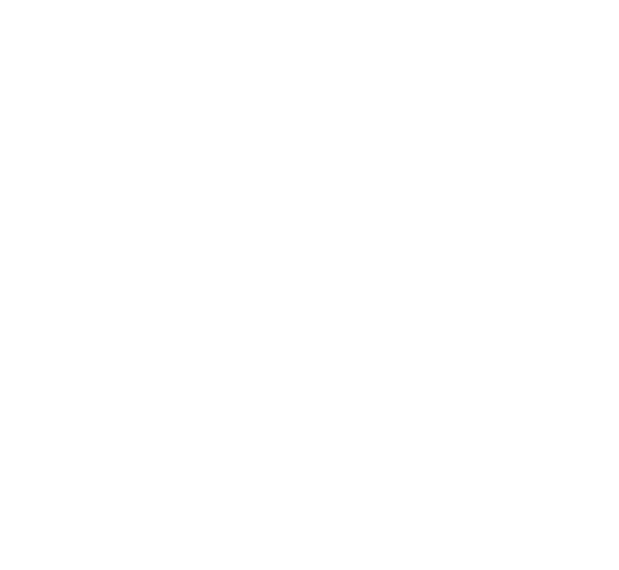 PARTIE_KROWA_PORK_KUBICA